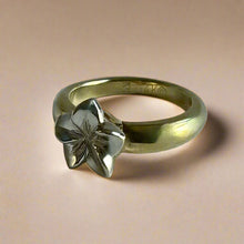 Load image into Gallery viewer, Two-tone Simply Romantic Ring in 14K Gold
